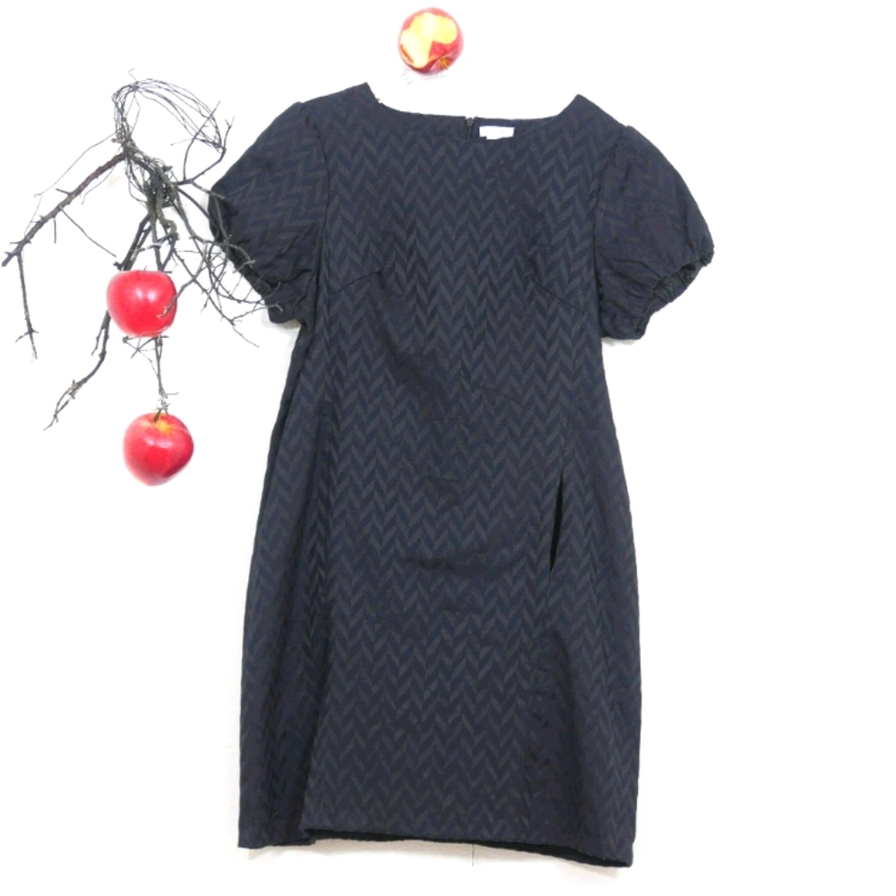 Go International black cap sleeved shift dress